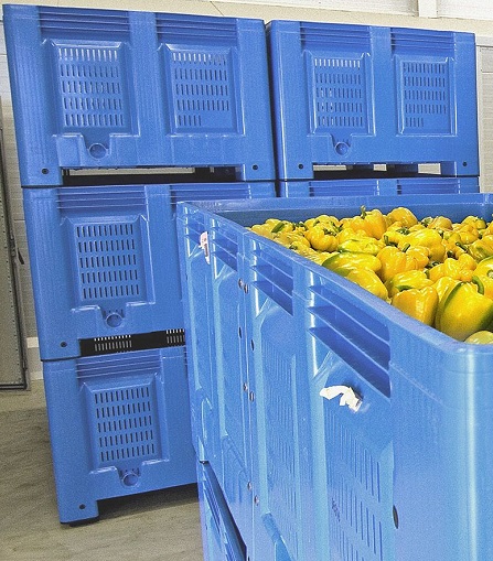 paprika's in een blauwe palletbox