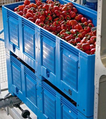 Kunststof of houten palletbox - lees hier de verschillen en voordelen + nadelen | Transoplast Group